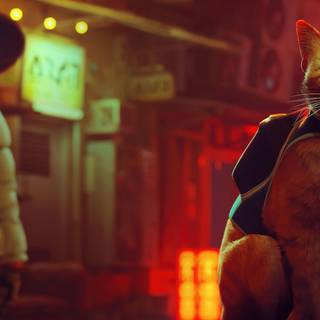 Stray game 4k wallpaper