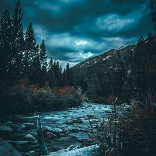 iPhone 4k dark nature wallpaper