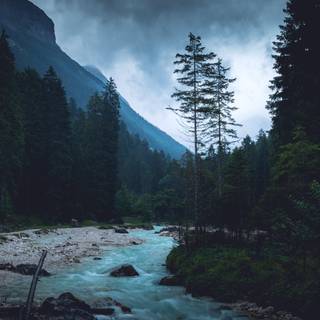 Dark 4k nature wallpaper