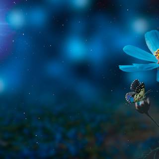 Flower 4k PC wallpaper