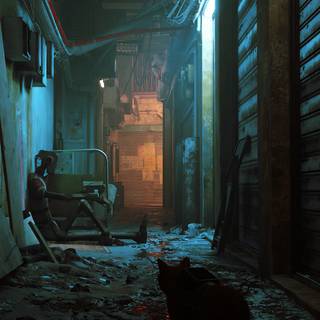 Stray game 4k wallpaper