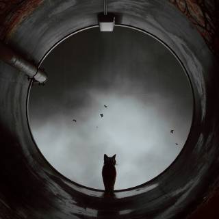 Stray game 4k wallpaper