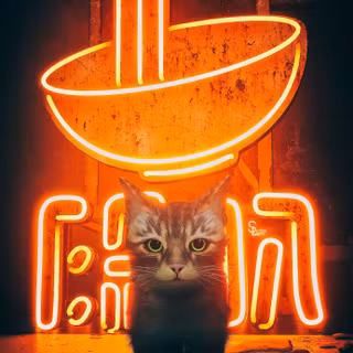 Stray game iPhone wallpaper