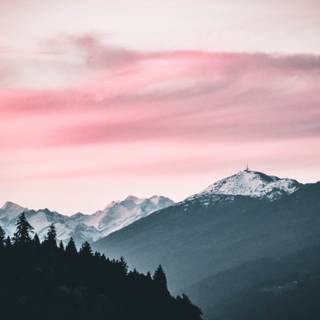 Pink nature 4k wallpaper