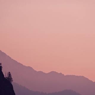 Pink nature 4k wallpaper