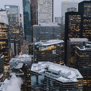 City iPhone 11 wallpaper