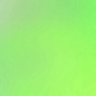 Green iPhone X wallpaper