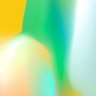 Green iPhone X wallpaper