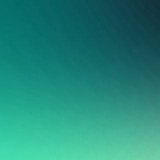 Green iPhone X wallpaper