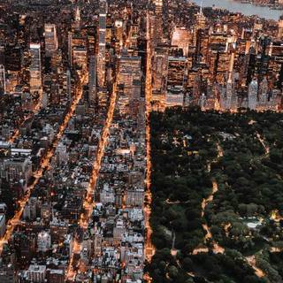 Central Park iPhone wallpaper