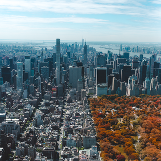 Central Park iPhone wallpaper