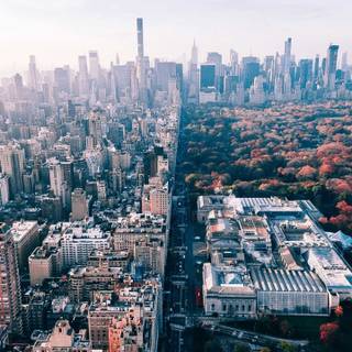 Central Park iPhone wallpaper