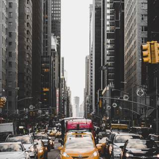 Central Park iPhone wallpaper