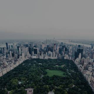 Central Park iPhone wallpaper