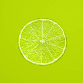 Green iPhone X wallpaper