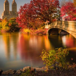 Central Park iPhone wallpaper
