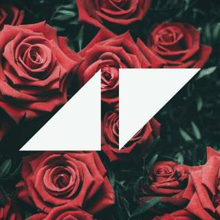 Avicii phone wallpaper