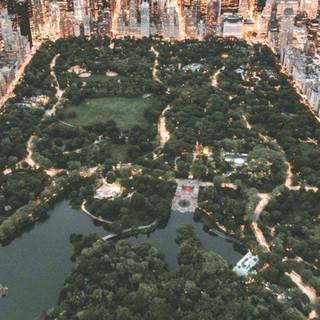 Central Park iPhone wallpaper