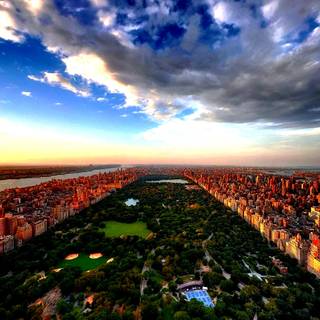 Central Park iPhone wallpaper