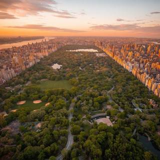 Central Park iPhone wallpaper