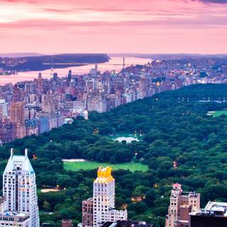 Central Park iPhone wallpaper