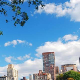 Central Park iPhone wallpaper