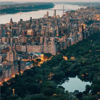 Central Park iPhone wallpaper