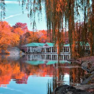 Central Park iPhone wallpaper