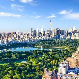 Central Park iPhone wallpaper