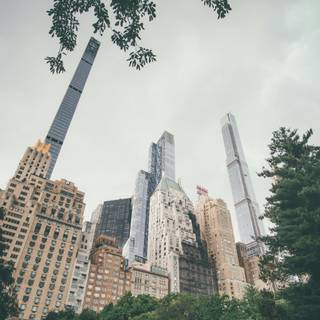 Central Park iPhone wallpaper