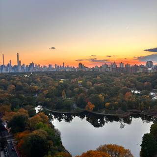 Central Park iPhone wallpaper