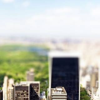 Central Park iPhone wallpaper