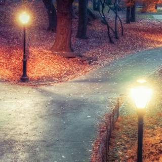 Central Park iPhone wallpaper