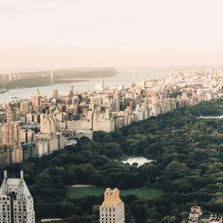 Central Park iPhone wallpaper