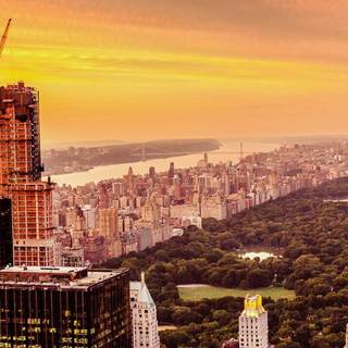 Central Park iPhone wallpaper