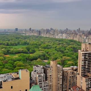 Central Park iPhone wallpaper