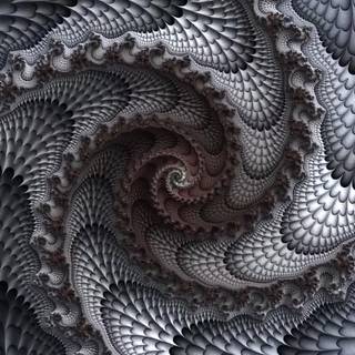 Zoom phone wallpaper