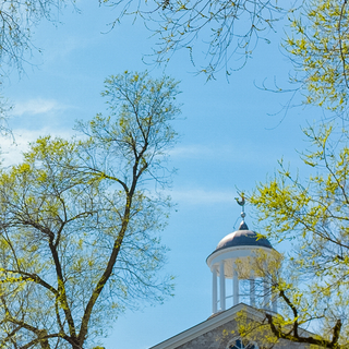 Zoom phone wallpaper