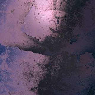 Zoom phone wallpaper