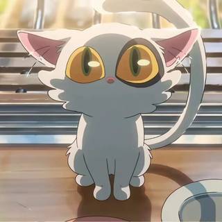 Suzume cat wallpaper