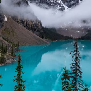 iPhone 14 nature wallpaper