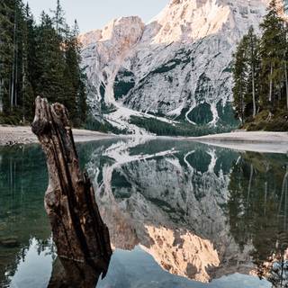 iPhone 14 nature wallpaper