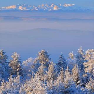 iPhone 14 nature wallpaper