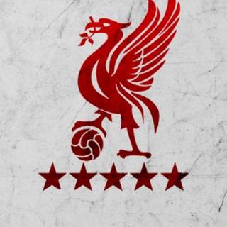 Phone Liverpool wallpaper