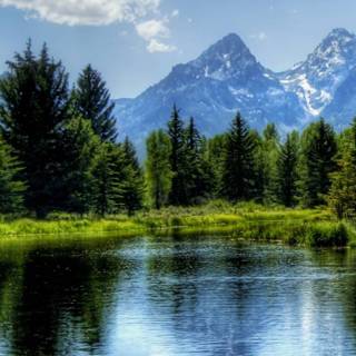 iPhone 14 nature wallpaper