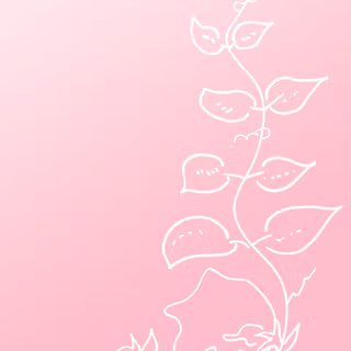iPhone pink flower wallpaper
