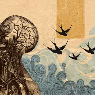 Anatomical wallpaper