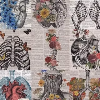 Anatomical wallpaper