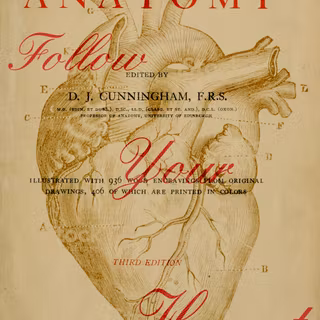 Anatomical wallpaper