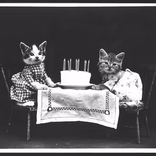 Vintage cat wallpaper